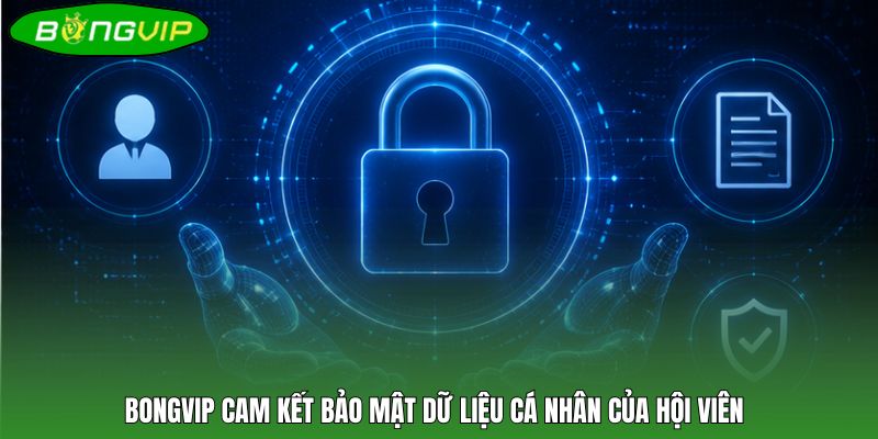 BONGVIP cam kết bảo mật dữ liệu cá nhân của hội viên