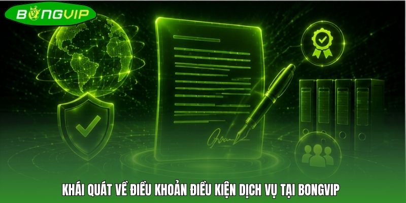 Khái quát về điều khoản điều kiện dịch vụ tại BONGVIP