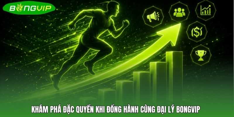 Khám phá đặc quyền khi đồng hành cùng đại lý BONGVIP